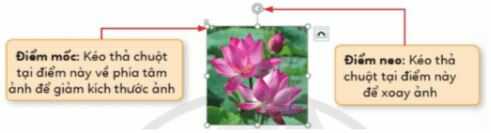 Hoạt động 2 trang 41 SGK Tin học lớp 4