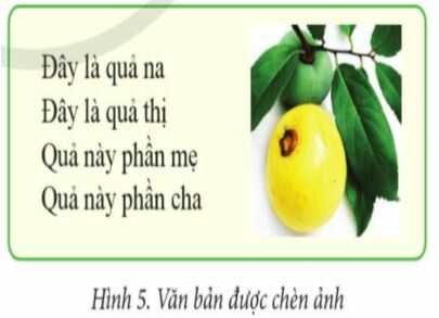 Vận dụng trang 41 SGK Tin học lớp 4