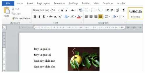 Vận dụng trang 41 SGK Tin học lớp 4