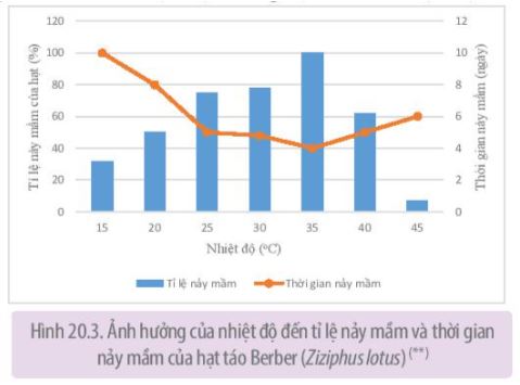 Sinh học 11 Kết nối tri thức bài 20