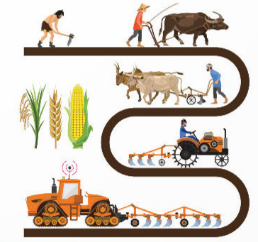 Hoạt động trồng trọt qua một số thời kì phát triển xã hội