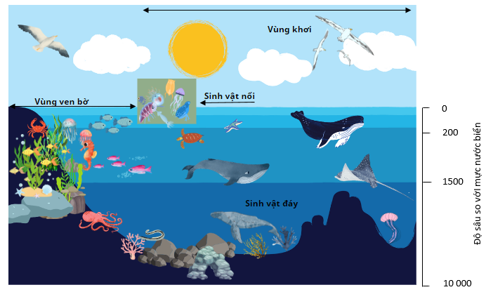 Khu sinh học biển theo chiều ngang