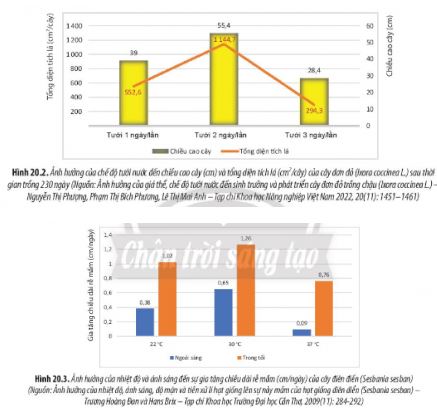 Sinh học 11 Chân trời sáng tạo bài 20