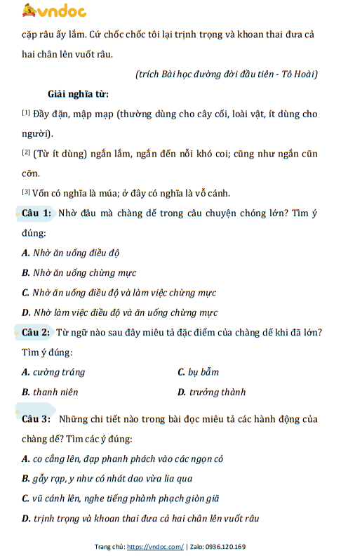 minh hoa bai tap cuoi tuan toan tieng viet lop 4 canh dieu nang cao tuan 9 h2*524814