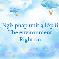 Ngữ pháp unit 3 lớp 8 The environment Right on