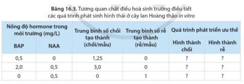 Sinh học 11 Cánh diều bài 16