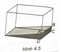 Giải sách bài tập Toán 11 Kết nối tri thức bài 10