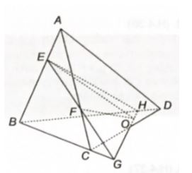 Giải sách bài tập Toán 11 Kết nối tri thức bài 10