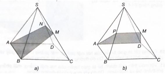 Giải sách bài tập Toán 11 Kết nối tri thức bài 11
