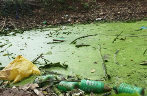 Ô nhiễm nguồn nước