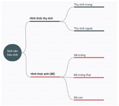 Sinh học 11 Cánh diều bài 22