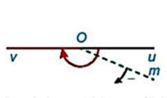 Giá trị lượng giác của góc lượng giác KNTT