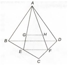 Giải sách bài tập Toán 11 Kết nối tri thức bài 12