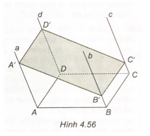 Giải sách bài tập Toán 11 Kết nối tri thức bài 13