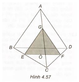 Giải sách bài tập Toán 11 Kết nối tri thức bài 13