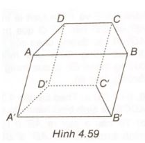 Giải sách bài tập Toán 11 Kết nối tri thức bài 13