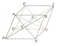 Giải sách bài tập Toán 11 Kết nối tri thức bài 13