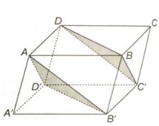 Giải sách bài tập Toán 11 Kết nối tri thức bài 13