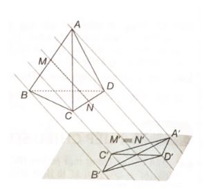 Giải sách bài tập Toán 11 Kết nối tri thức bài 14