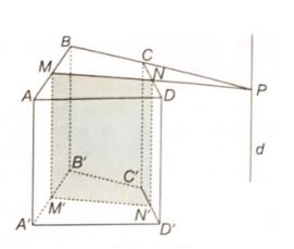 Giải sách bài tập Toán 11 Kết nối tri thức bài tập cuối chương 4