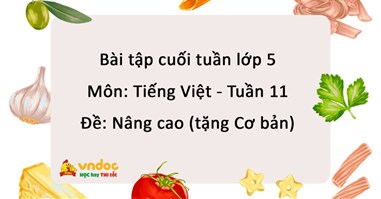 Bài tập cuối tuần Tiếng Việt lớp 5 Tuần 11 - Nâng cao