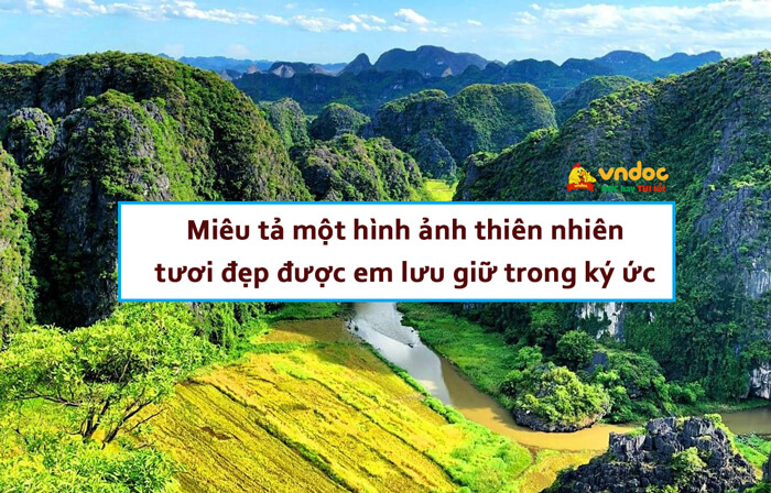 Đoạn văn miêu tả một hình ảnh thiên nhiên tươi đẹ