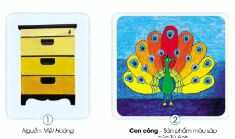 Giải Mĩ thuật 4 Cánh diều bài 1: Đậm, nhạt khác nhau của màu