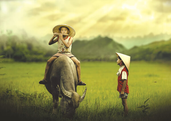 Cảm nghĩ về bài thơ lục bát Chăn trâu đốt lửa lớp 6