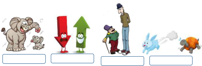 Bài tập cuối tuần tiếng Việt lớp 2 Chân trời sáng tạo Tuần 12 cơ bản