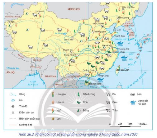 Địa lí 11 Chân trời sáng tạo bài 26