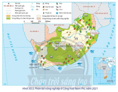 Địa lí 11 Chân trời sáng tạo bài 30