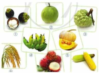 Giải Mĩ thuật 4 Cánh diều bài 15: Nông sản quê em