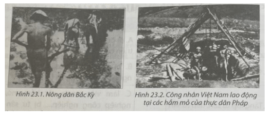 Giải SBT Lịch sử 8 Chân trời sáng tạo bài 23