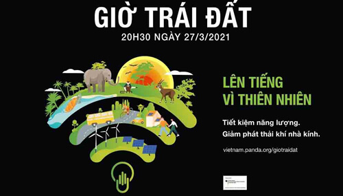 Kể lại một hoạt động bảo vệ môi trường lớp 8 Ngắn nhất