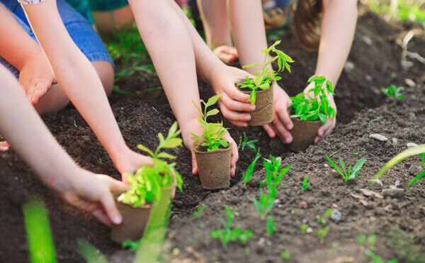 Viết bài văn kể lại một hoạt động bảo vệ thiên nhiên