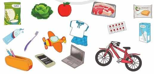 HĐTN lớp 4 trang 55, 56 Hoạt động giáo dục theo chủ đề