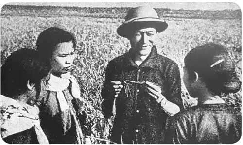 Nhà bác học của đồng ruộng lớp 4