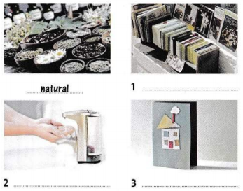 Workbook tiếng Anh 8 unit 4 Vocabulary and Listening trang 28 Friends plus