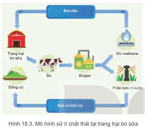 Công nghệ 11 Kết nối tri thức bài 18