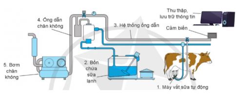 Công nghệ 11 Kết nối tri thức bài 19
