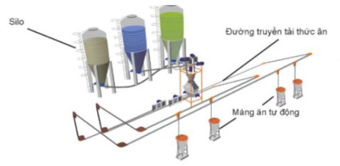Công nghệ 11 Kết nối tri thức bài 19