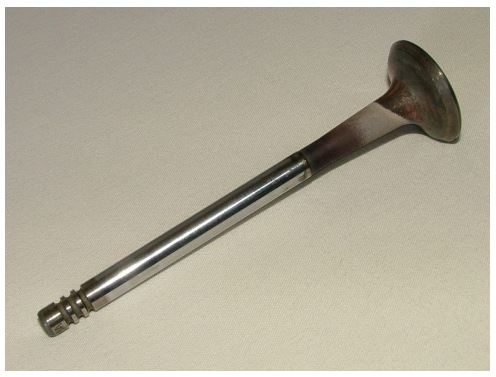 Công nghệ 11 Kết nối tri thức bài 19