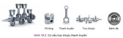 Công nghệ 11 Kết nối tri thức bài 19