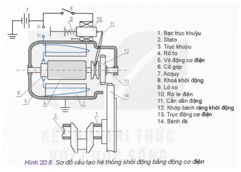 Công nghệ 11 Kết nối tri thức bài 20