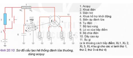 Công nghệ 11 Kết nối tri thức bài 20