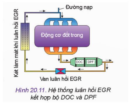 Công nghệ 11 Kết nối tri thức bài 20