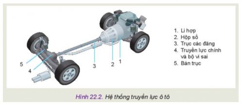 Công nghệ 11 Kết nối tri thức bài 22