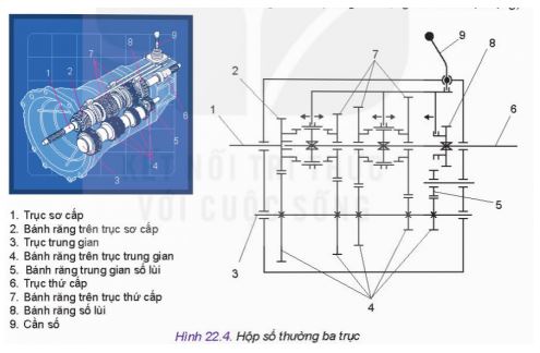 Công nghệ 11 Kết nối tri thức bài 22