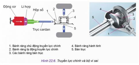 Công nghệ 11 Kết nối tri thức bài 22