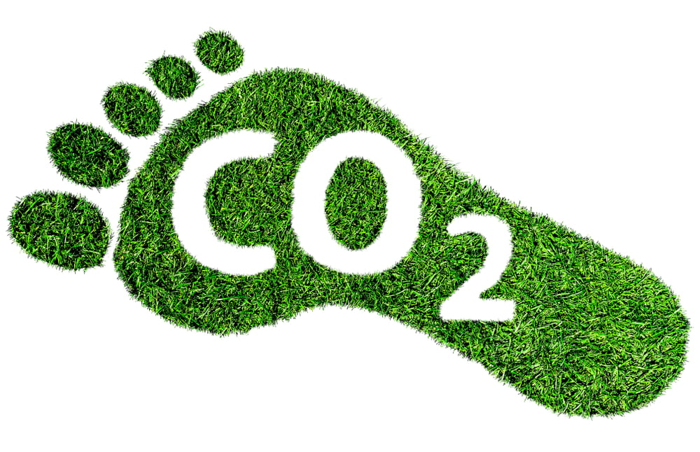 Write a paragraph about ways to reduce your carbon footprint